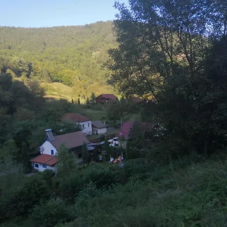 Casa Andreea Holiday home Teliucu Inferior