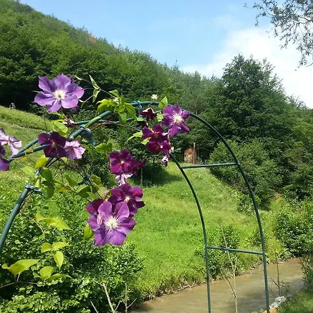 Casa Andreea *