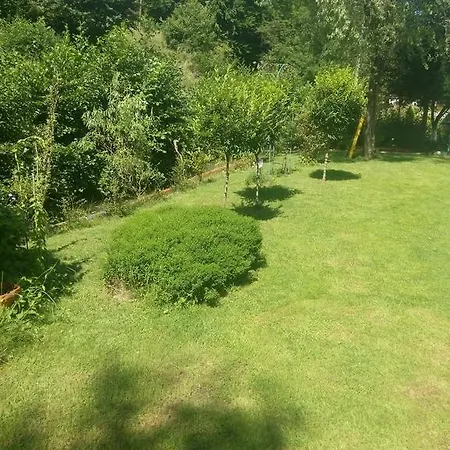 Casa Andreea *