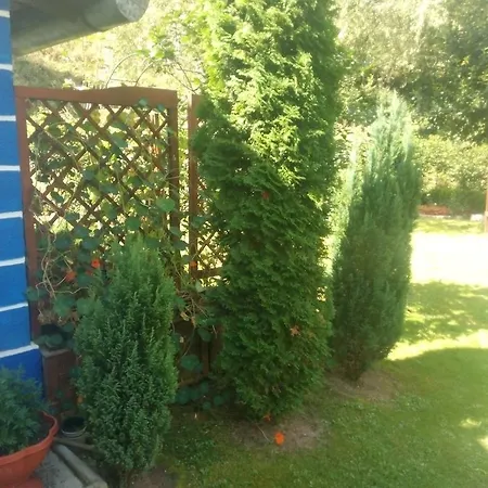 Holiday home Casa Andreea *